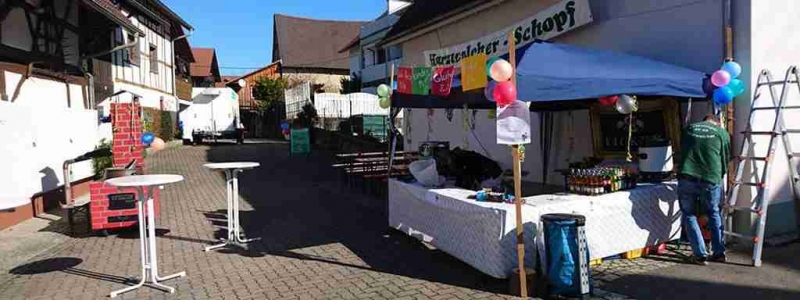 Aufbau Schopf Rümmingen 2017