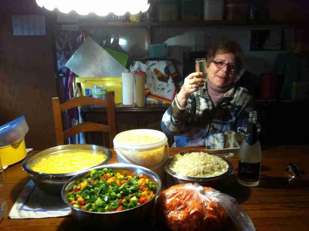 Aufbau Schopf Rümmingen 2017