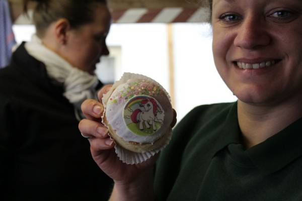 Aufbu Schopf Rümmingen 2017