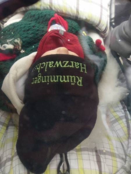 Buurefasnacht Weil am Rhein 2017